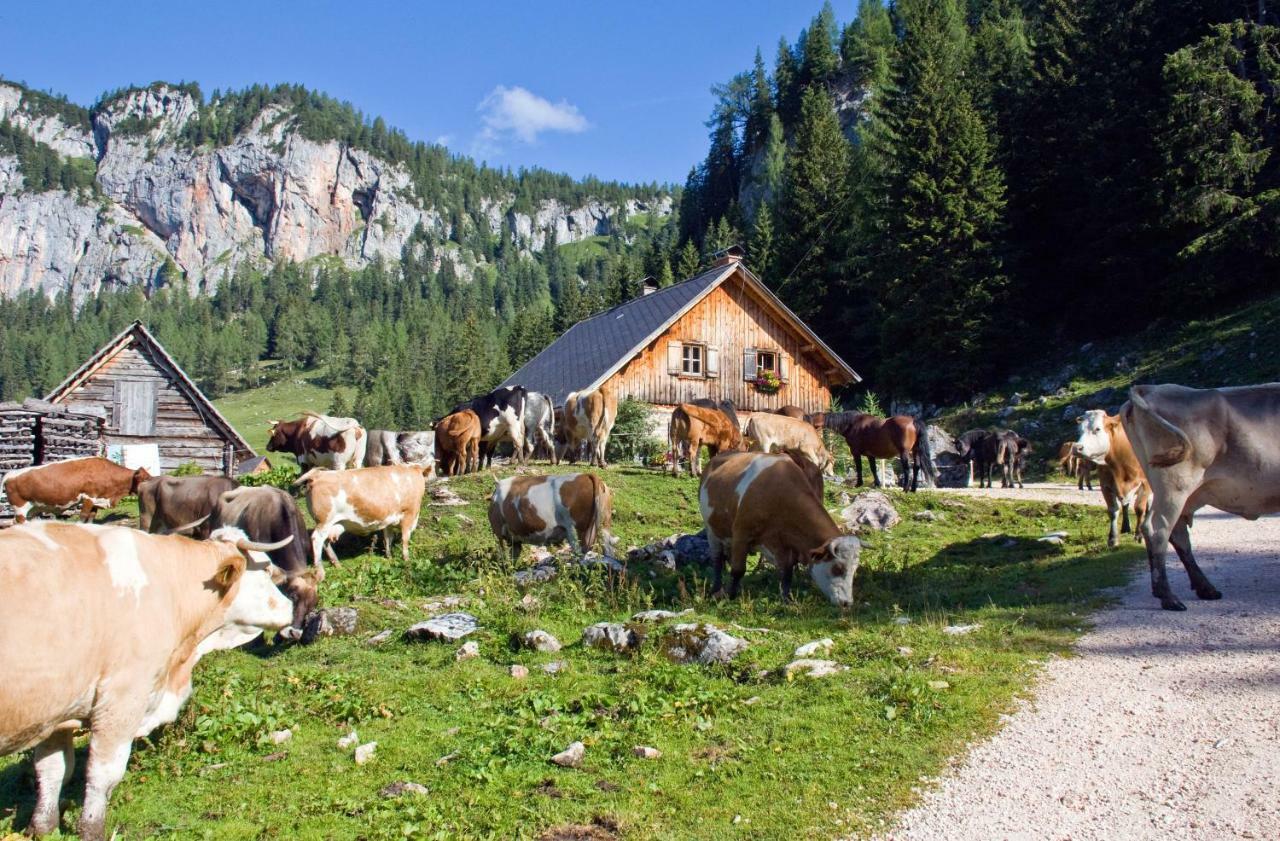 Alprima Aparthotel Hinterstoder Esterno foto